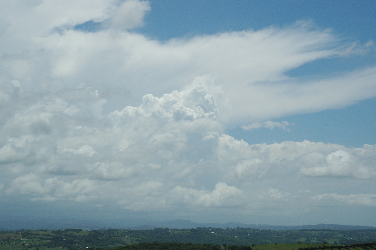 anvil thunderstorm_anvils : McLeans Ridges, NSW   17 November 2004