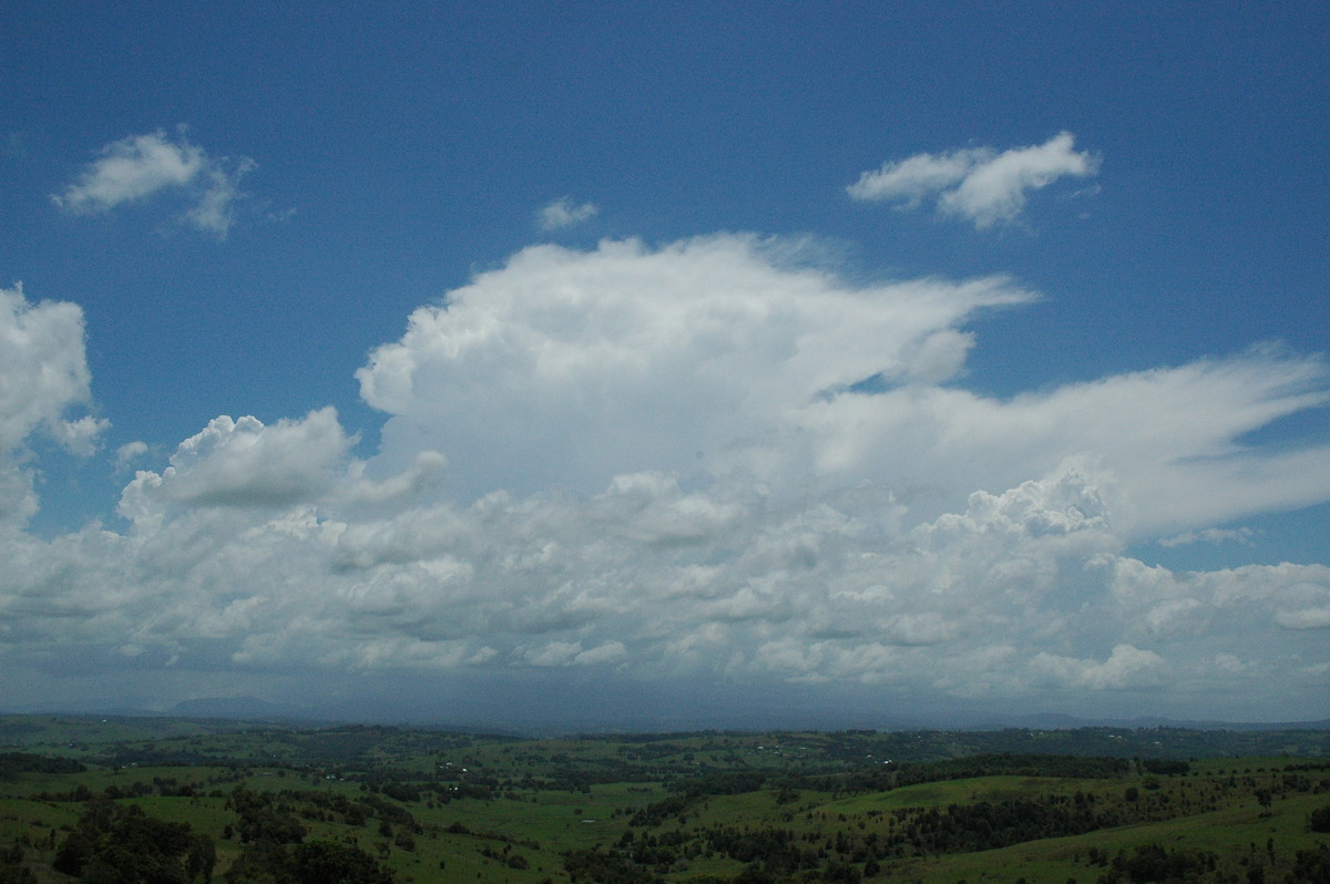 thunderstorm cumulonimbus_incus : McLeans Ridges, NSW   17 November 2004