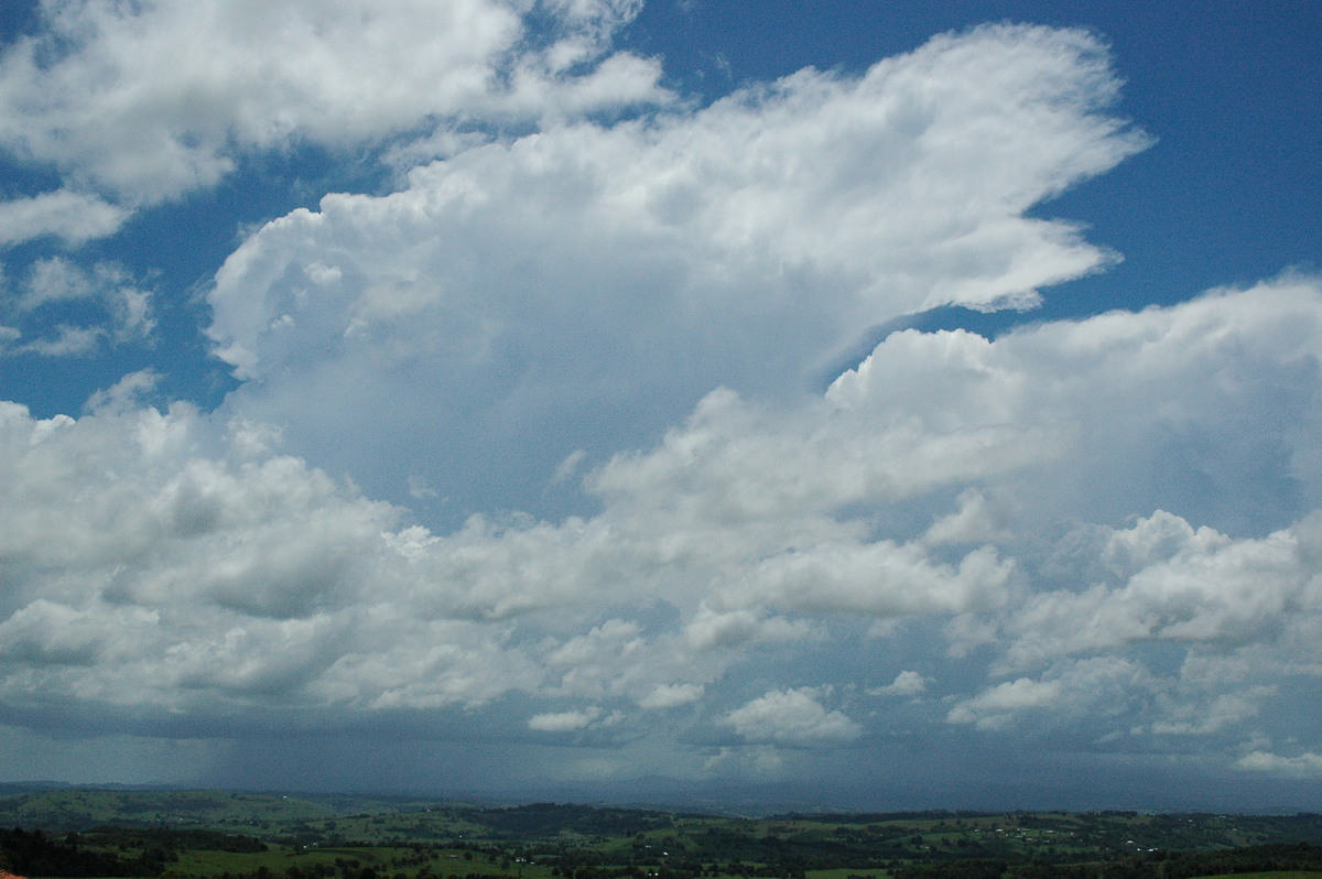 thunderstorm cumulonimbus_incus : McLeans Ridges, NSW   17 November 2004