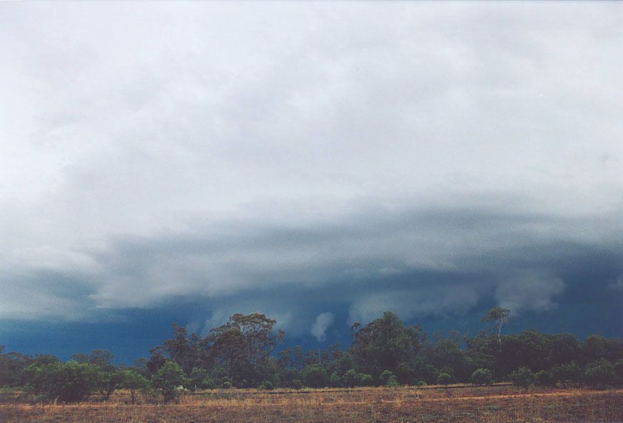 cumulonimbus supercell_thunderstorm : 20km W of Nyngan, NSW   7 December 2004