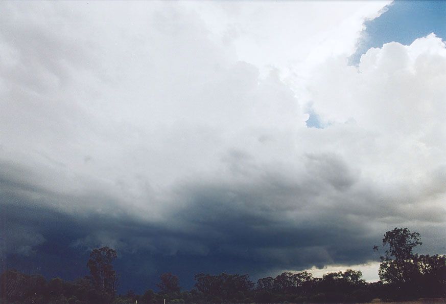 cumulonimbus supercell_thunderstorm : 20km W of Nyngan, NSW   7 December 2004