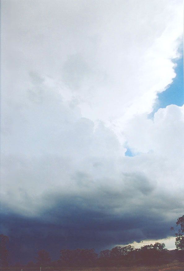 updraft thunderstorm_updrafts : 20km W of Nyngan, NSW   7 December 2004