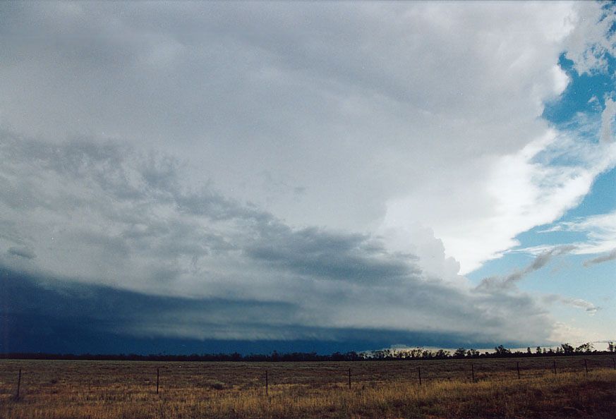 shelfcloud shelf_cloud : 20km W of Nyngan, NSW   7 December 2004