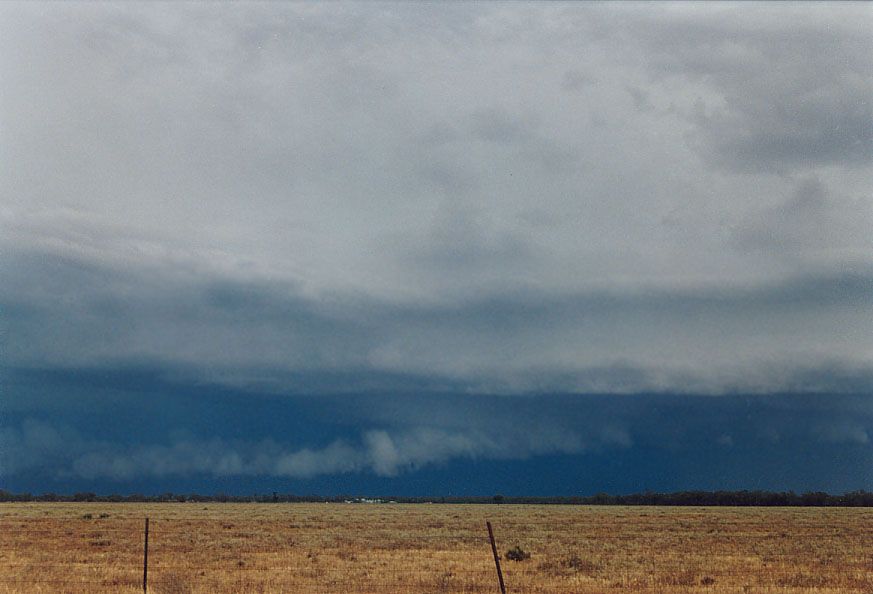 cumulonimbus supercell_thunderstorm : 20km W of Nyngan, NSW   7 December 2004