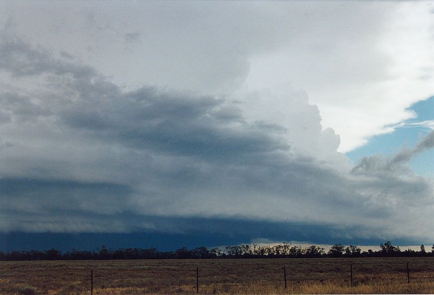 cumulonimbus supercell_thunderstorm : 20km W of Nyngan, NSW   7 December 2004