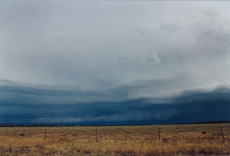 wallcloud thunderstorm_wall_cloud : 20km W of Nyngan, NSW   7 December 2004