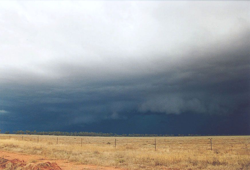 cumulonimbus supercell_thunderstorm : 20km W of Nyngan, NSW   7 December 2004