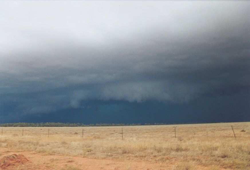 cumulonimbus supercell_thunderstorm : 20km W of Nyngan, NSW   7 December 2004