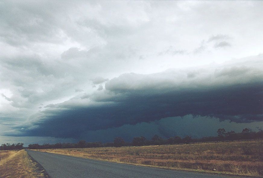 shelfcloud shelf_cloud : 10km S of Nyngan, NSW   7 December 2004