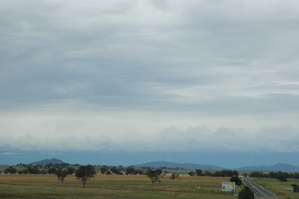 cumulus congestus : W of Gunnedah, NSW   7 December 2004