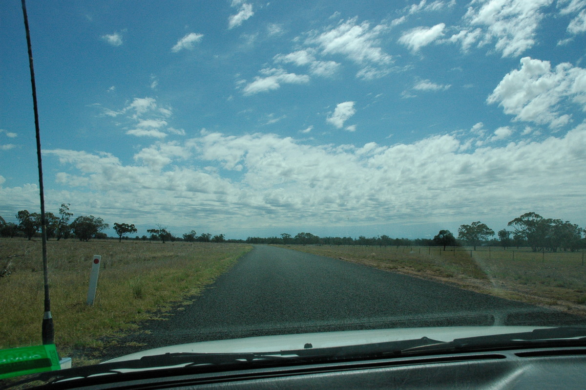 altocumulus castellanus : E of Coonamble, NSW   7 December 2004