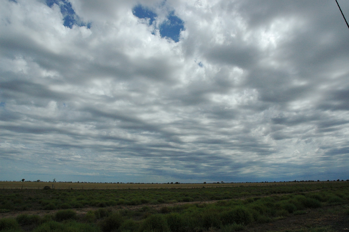 altocumulus castellanus : Coonamble, NSW   7 December 2004