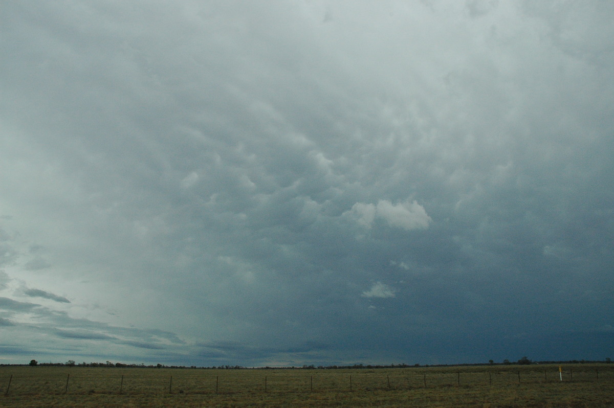 anvil thunderstorm_anvils : W of Coonamble, NSW   7 December 2004