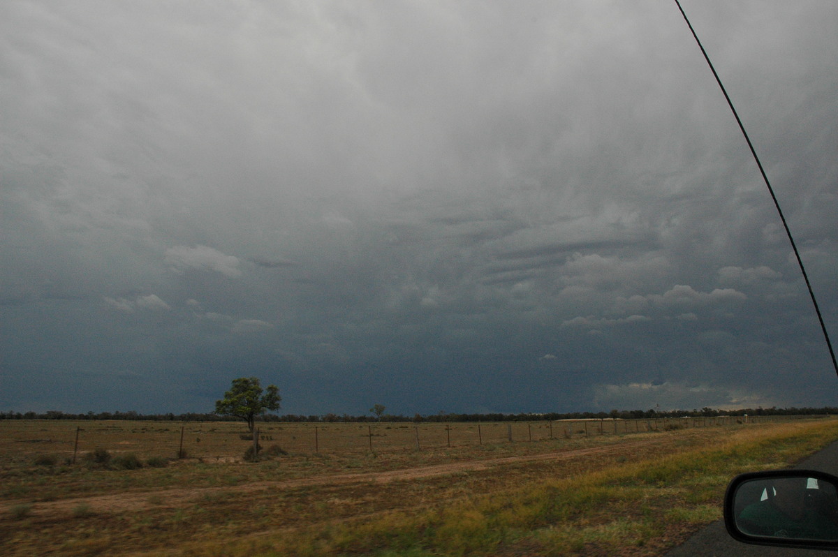 anvil thunderstorm_anvils : W of Coonamble, NSW   7 December 2004