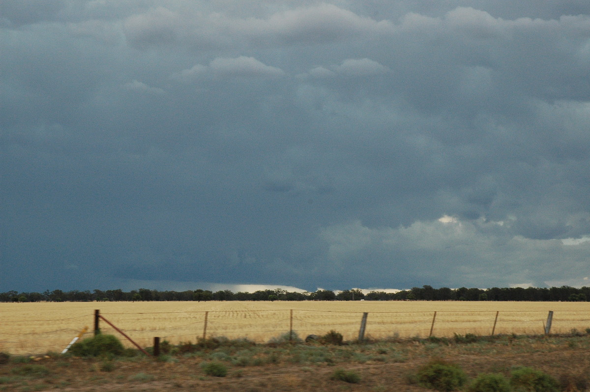 cumulonimbus thunderstorm_base : E of Quambone, NSW   7 December 2004