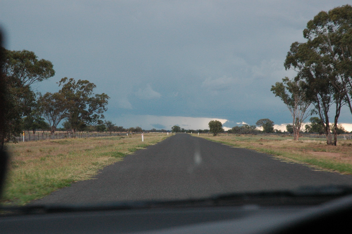 cumulonimbus supercell_thunderstorm : E of Quambone, NSW   7 December 2004