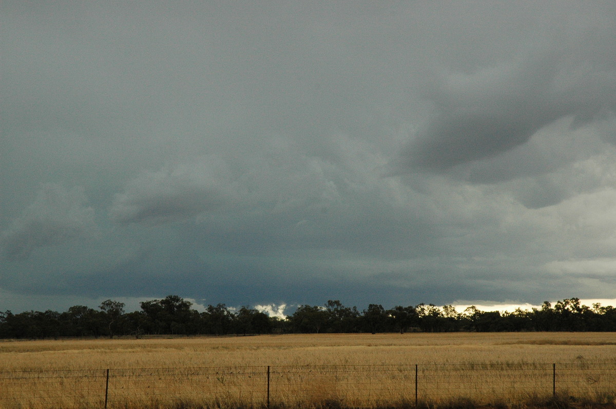 cumulonimbus supercell_thunderstorm : Quambone, NSW   7 December 2004