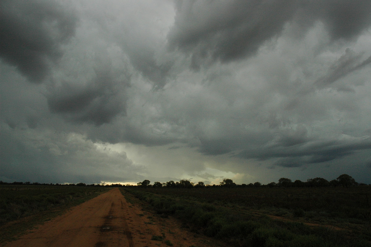 cumulonimbus thunderstorm_base : Quambone, NSW   7 December 2004