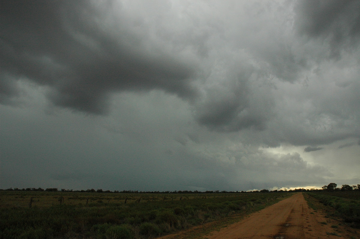 cumulonimbus thunderstorm_base : Quambone, NSW   7 December 2004