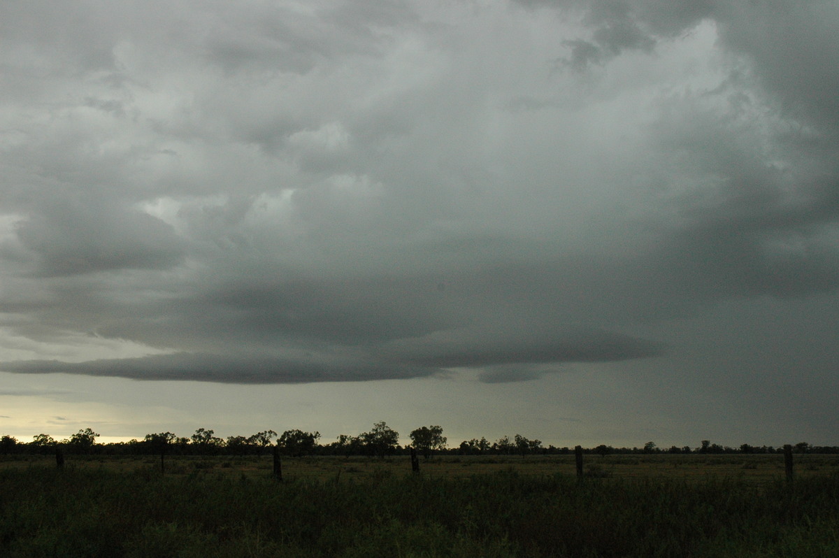 cumulonimbus thunderstorm_base : Quambone, NSW   7 December 2004