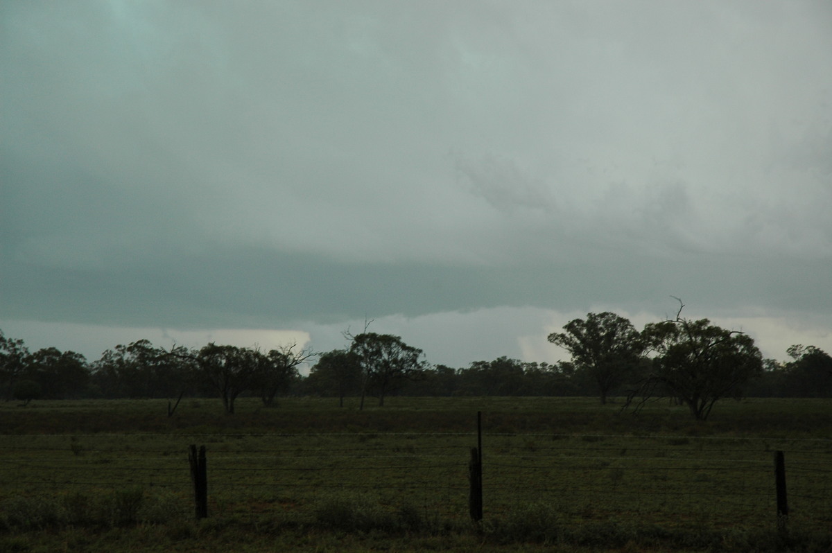 cumulonimbus thunderstorm_base : Quambone, NSW   7 December 2004