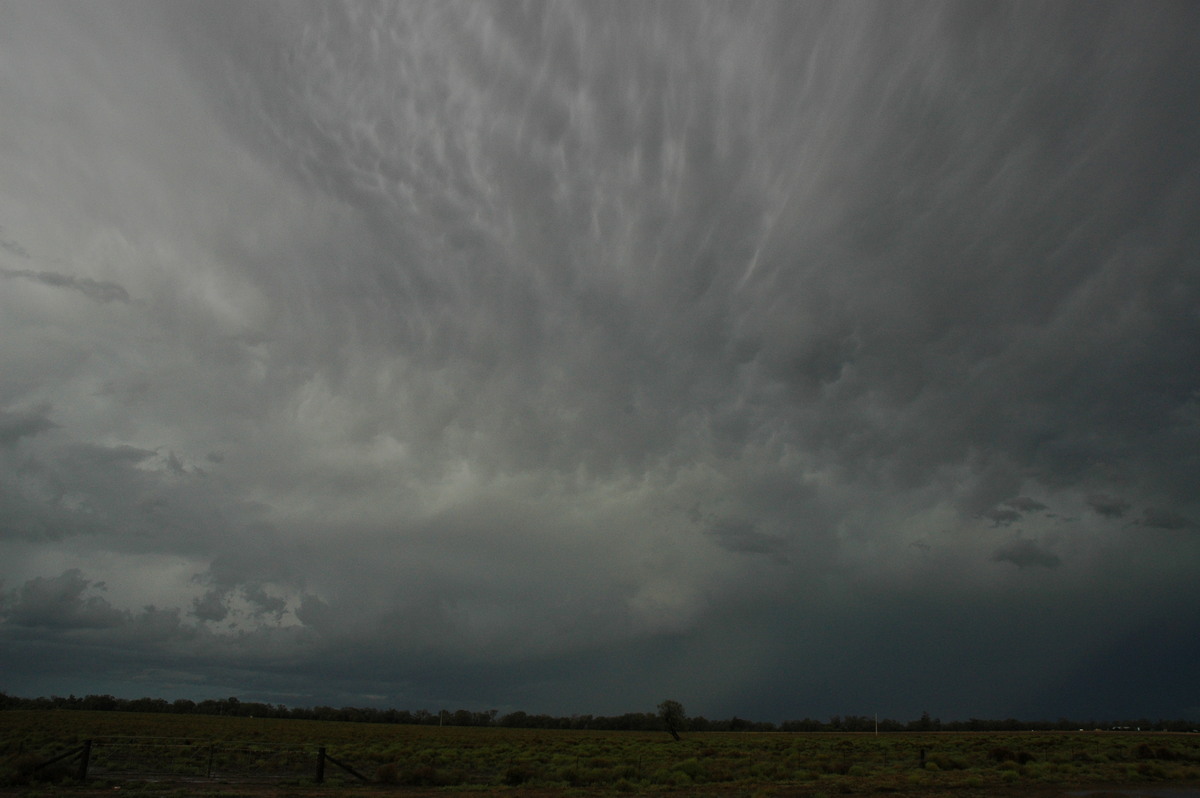 anvil thunderstorm_anvils : Coonamble, NSW   7 December 2004