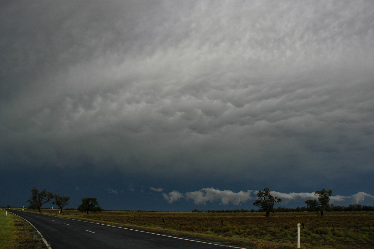 anvil thunderstorm_anvils : Coonamble, NSW   7 December 2004