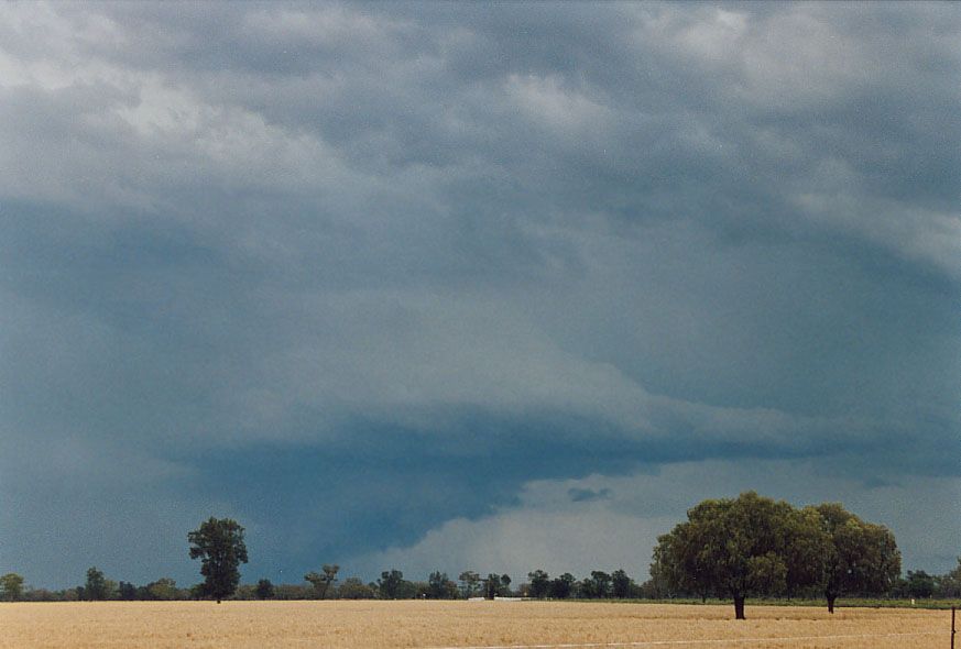 cumulonimbus supercell_thunderstorm : 40km SW of Walgett, NSW   8 December 2004