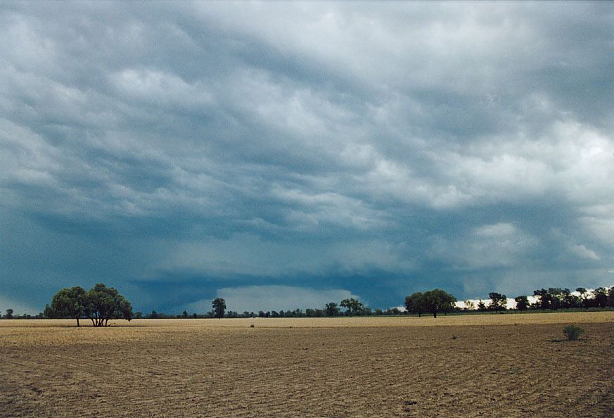 wallcloud thunderstorm_wall_cloud : 40km SW of Walgett, NSW   8 December 2004