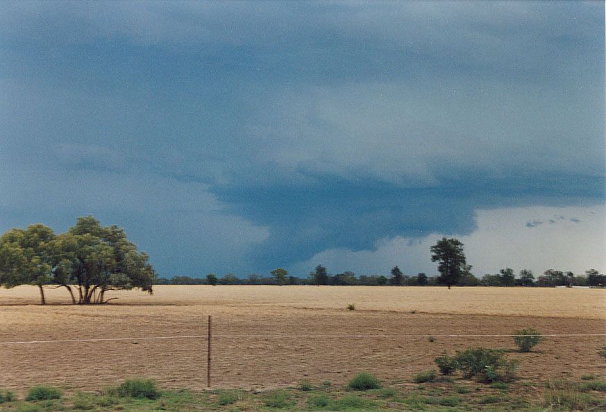 cumulonimbus supercell_thunderstorm : 40km SW of Walgett, NSW   8 December 2004