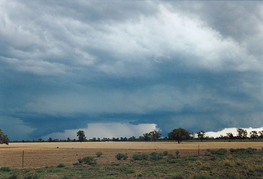 cumulonimbus supercell_thunderstorm : 40km SW of Walgett, NSW   8 December 2004