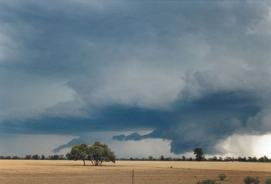 cumulonimbus thunderstorm_base : 40km SW of Walgett, NSW   8 December 2004