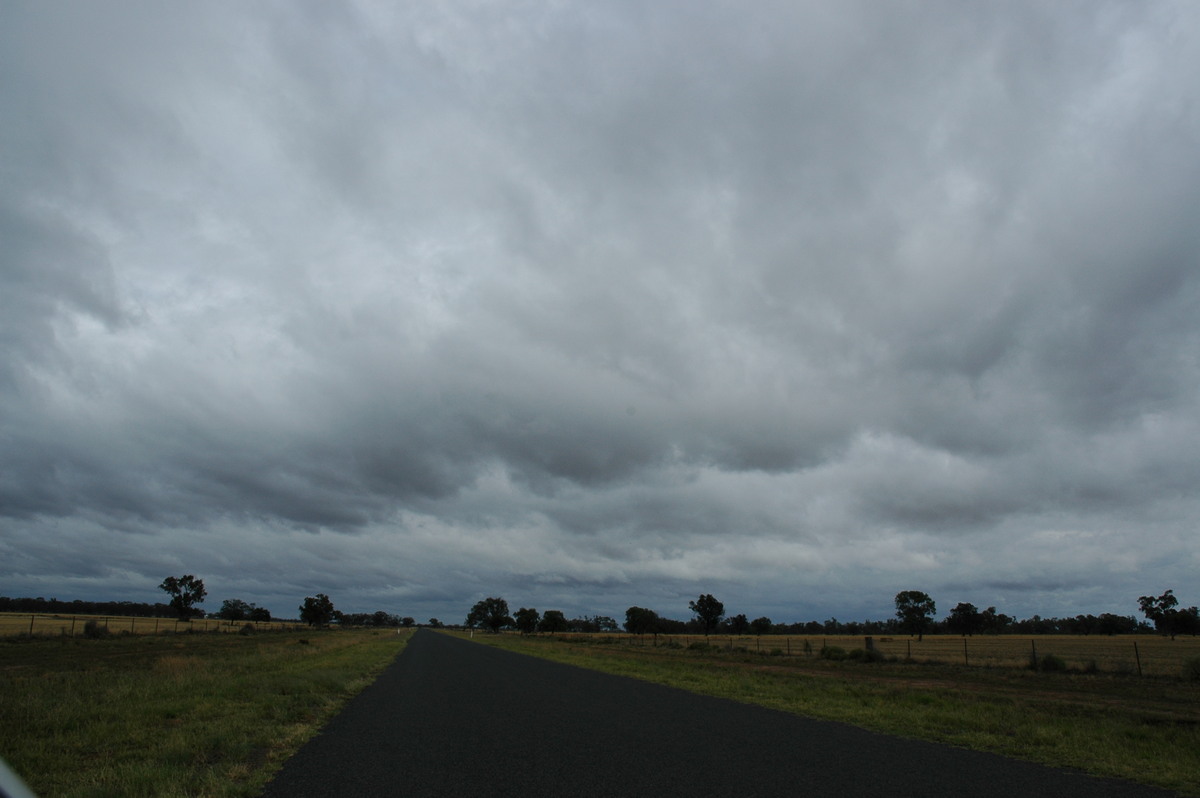 stratocumulus stratocumulus_cloud : near Coonamble, NSW   8 December 2004