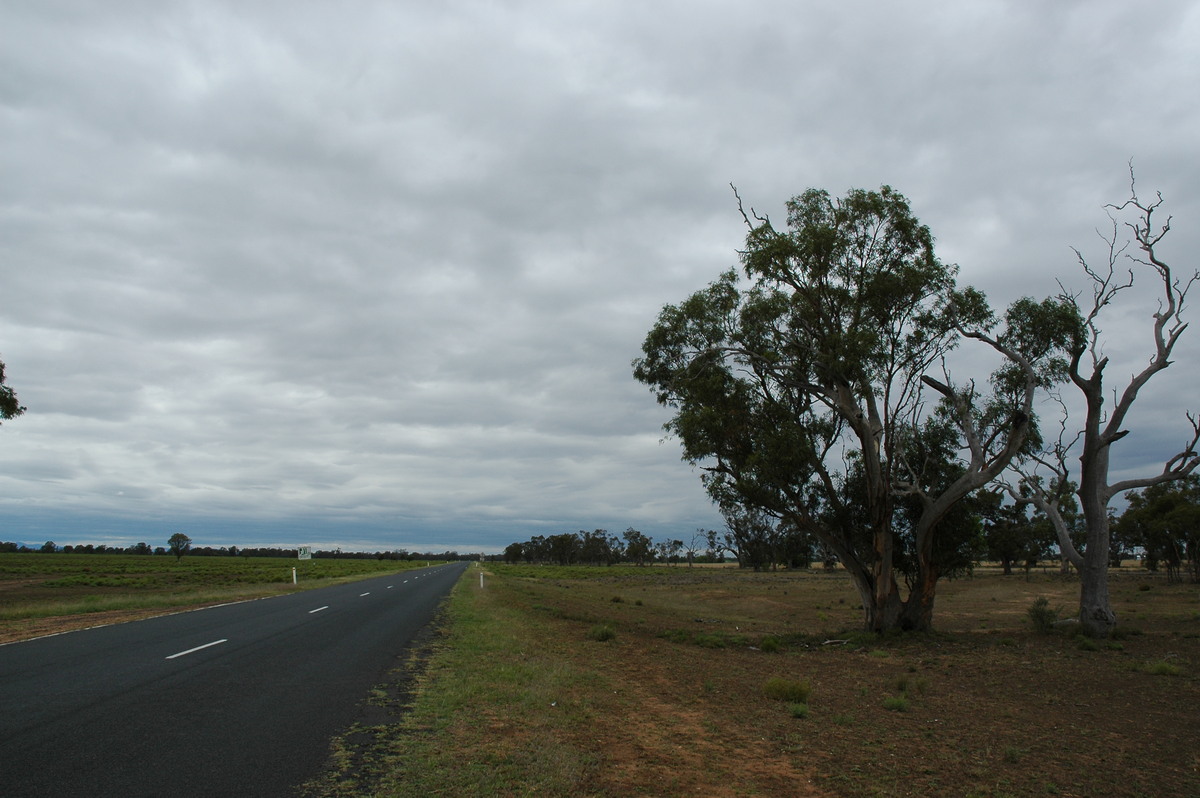 stratocumulus stratocumulus_cloud : near Coonamble, NSW   8 December 2004