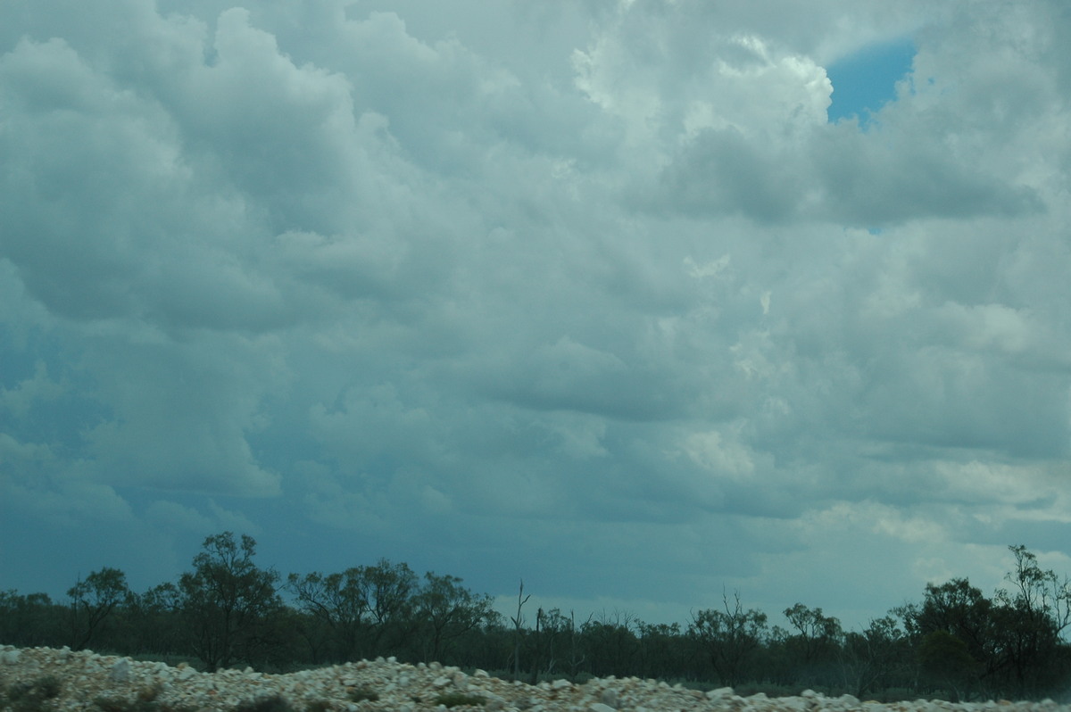 cumulus mediocris : W of Walgett, NSW   8 December 2004