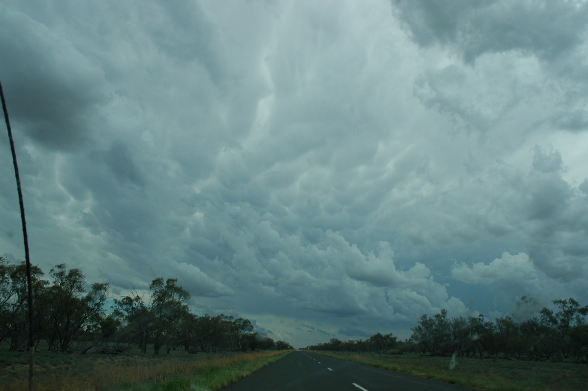 anvil thunderstorm_anvils : W of Walgett, NSW   8 December 2004