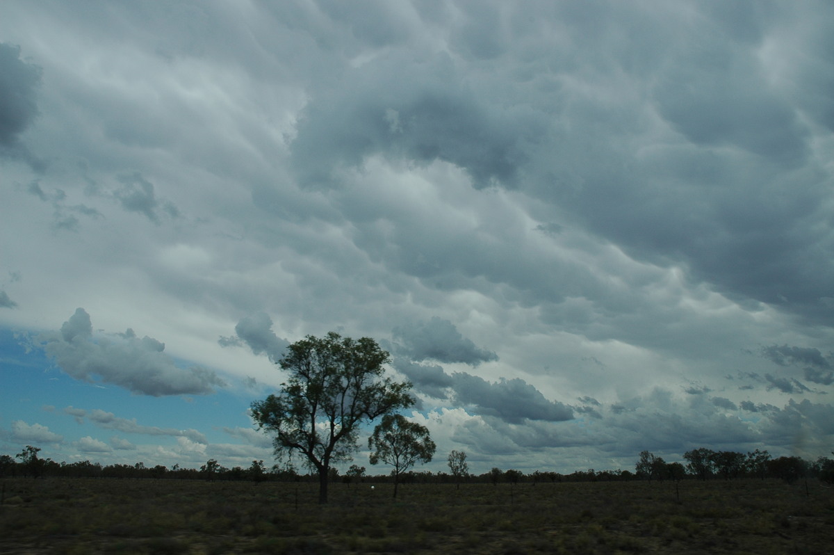 mammatus mammatus_cloud : W of Walgett, NSW   8 December 2004