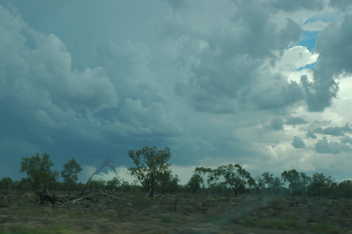 cumulonimbus thunderstorm_base : W of Walgett, NSW   8 December 2004