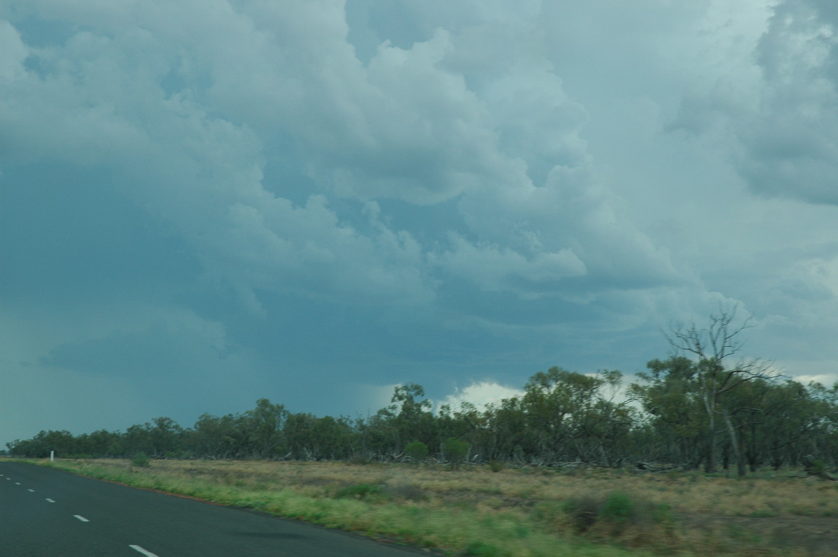 cumulonimbus thunderstorm_base : W of Walgett, NSW   8 December 2004