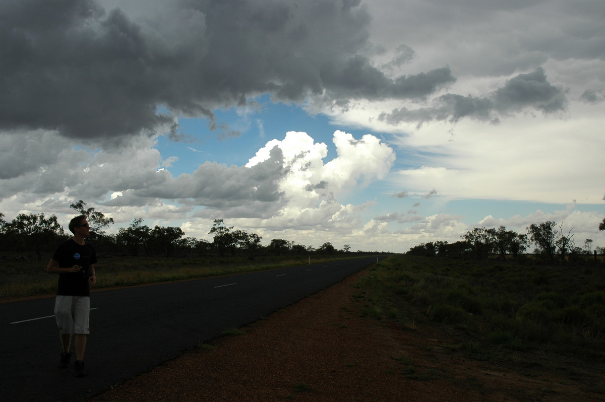 cumulus congestus : W of Walgett, NSW   8 December 2004