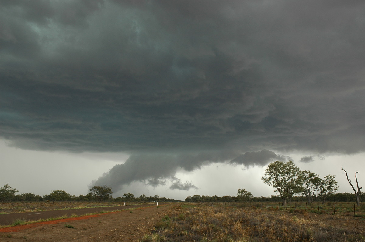 cumulonimbus supercell_thunderstorm : W of Walgett, NSW   8 December 2004