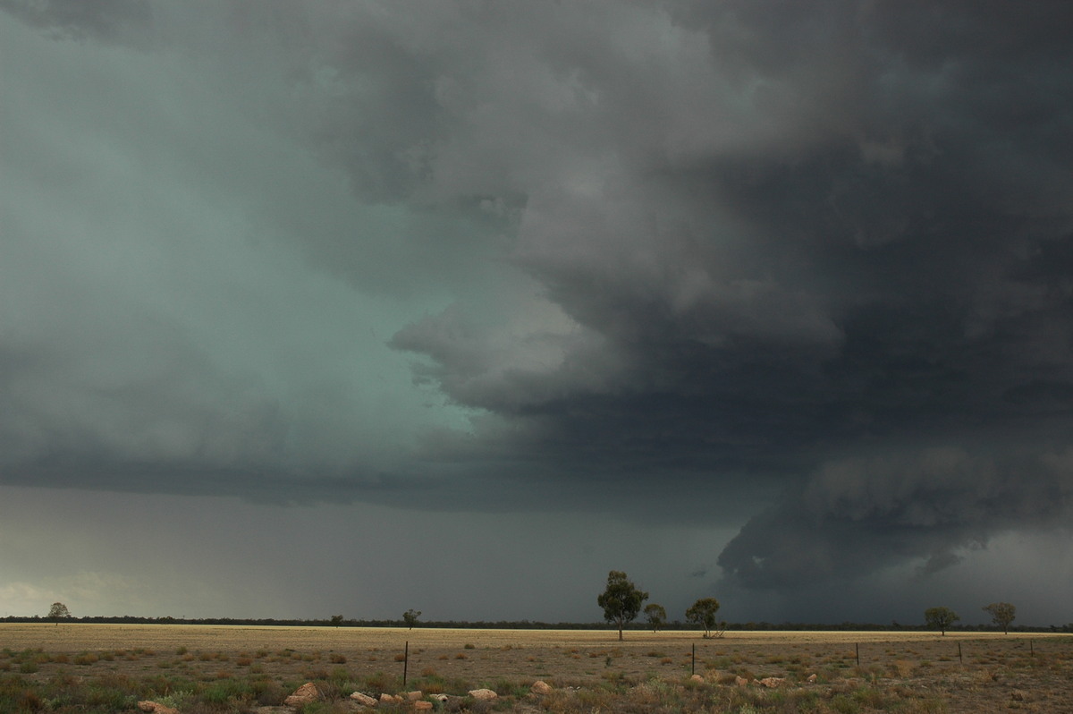 cumulonimbus supercell_thunderstorm : W of Walgett, NSW   8 December 2004