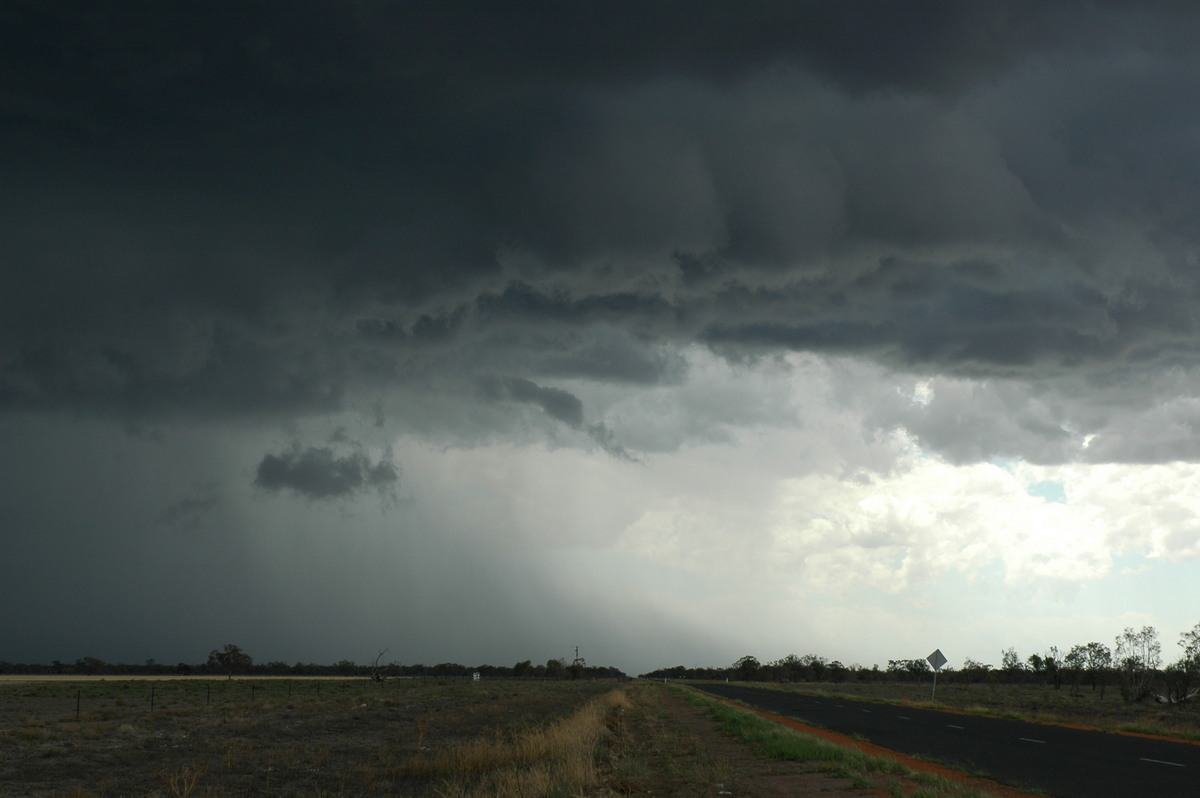 cumulonimbus supercell_thunderstorm : W of Walgett, NSW   8 December 2004