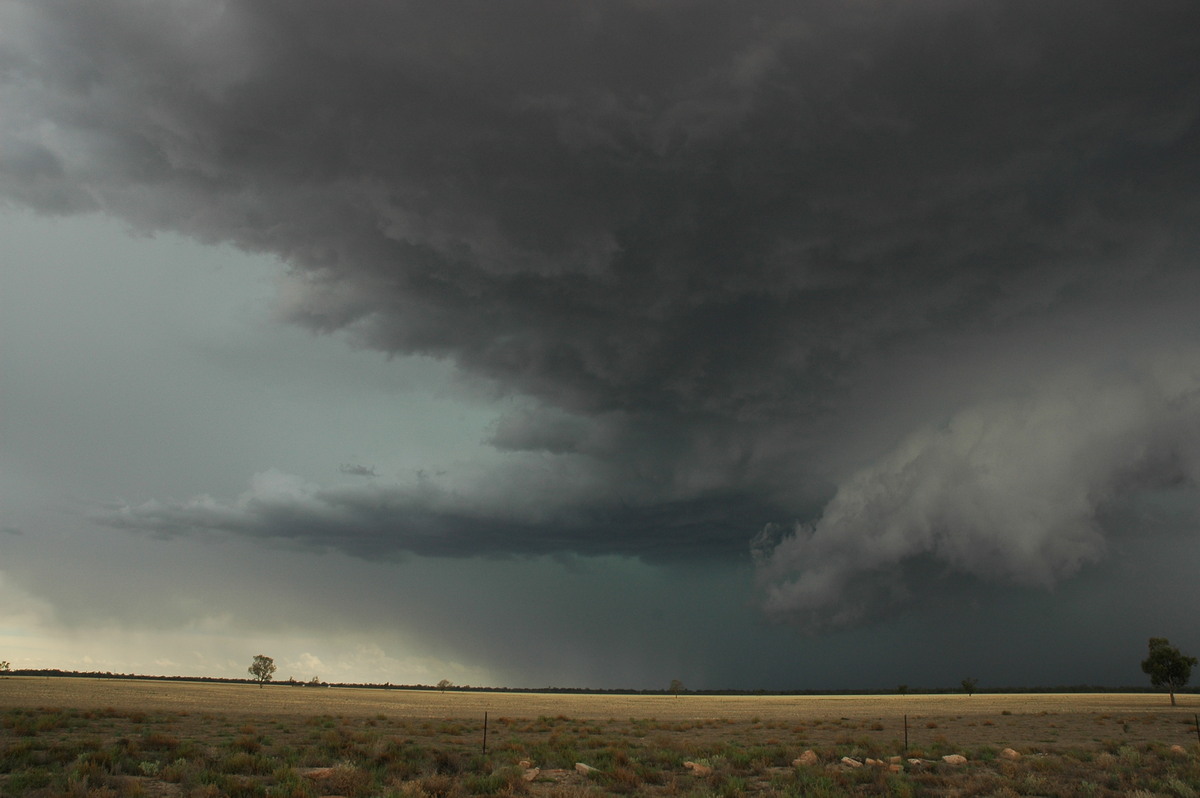 wallcloud thunderstorm_wall_cloud : W of Walgett, NSW   8 December 2004