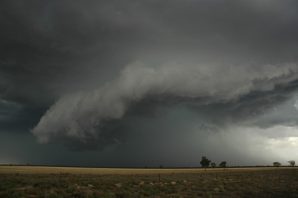 wallcloud thunderstorm_wall_cloud : W of Walgett, NSW   8 December 2004