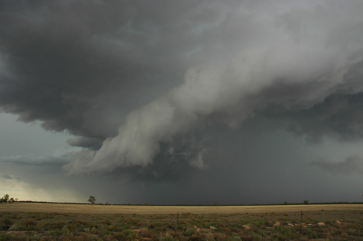 cumulonimbus supercell_thunderstorm : W of Walgett, NSW   8 December 2004