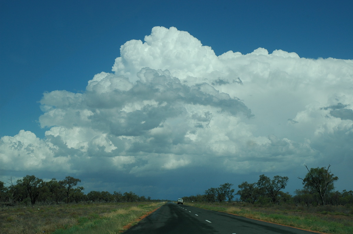 thunderstorm cumulonimbus_incus : W of Walgett, NSW   8 December 2004