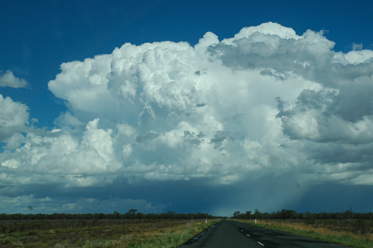 raincascade precipitation_cascade : W of Walgett, NSW   8 December 2004