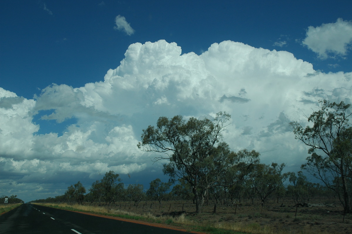 thunderstorm cumulonimbus_incus : W of Walgett, NSW   8 December 2004