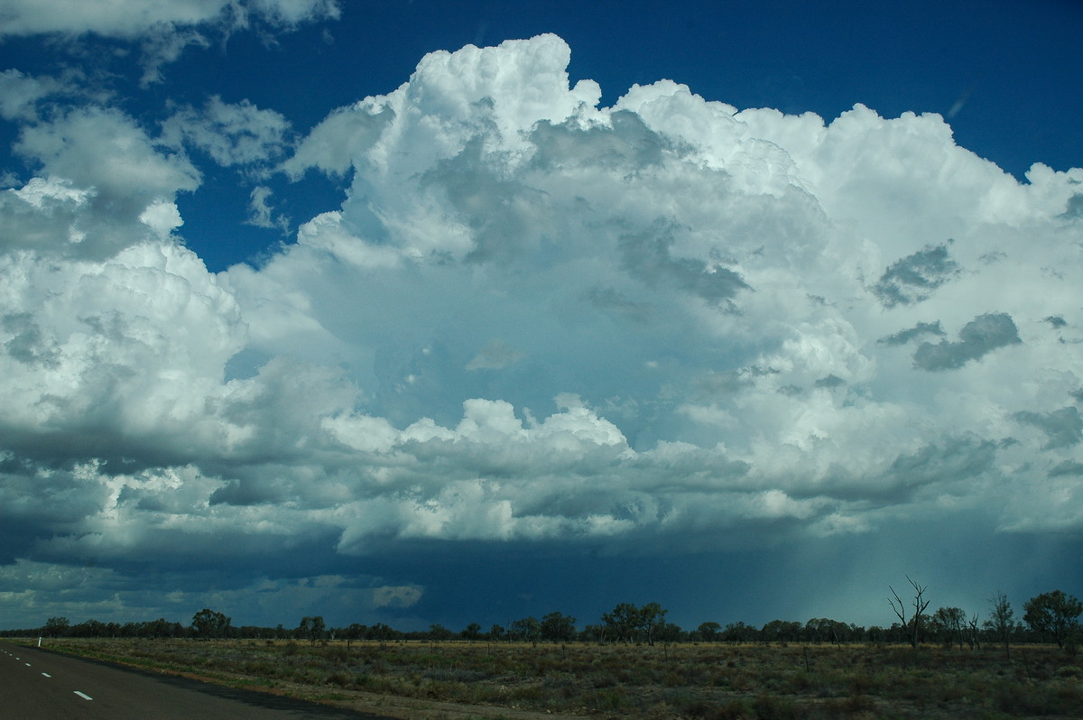 cumulonimbus supercell_thunderstorm : W of Walgett, NSW   8 December 2004